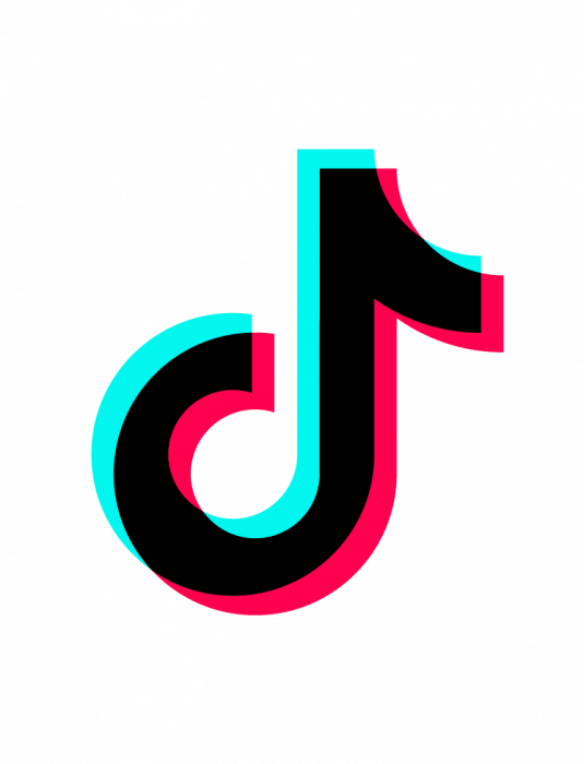 sns-icon